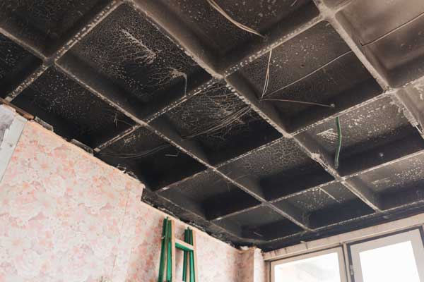 Smoke Damage Restoration Services Smoke Damage Restoration Services